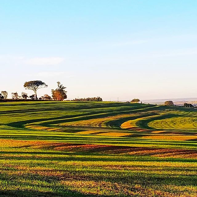 Vista da fazenda