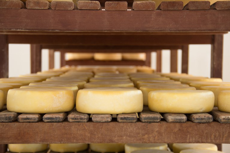 Queijo artesanal